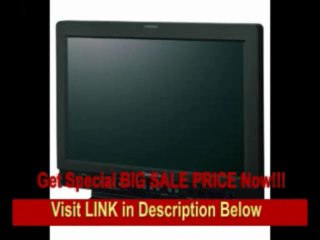 [REVIEW] Panasonic Professional BT-LH1710 17-Inch LCD Production Monitor