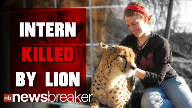 Calif. Intern Killed By Lion Identified | NewsBreaker | OraTV