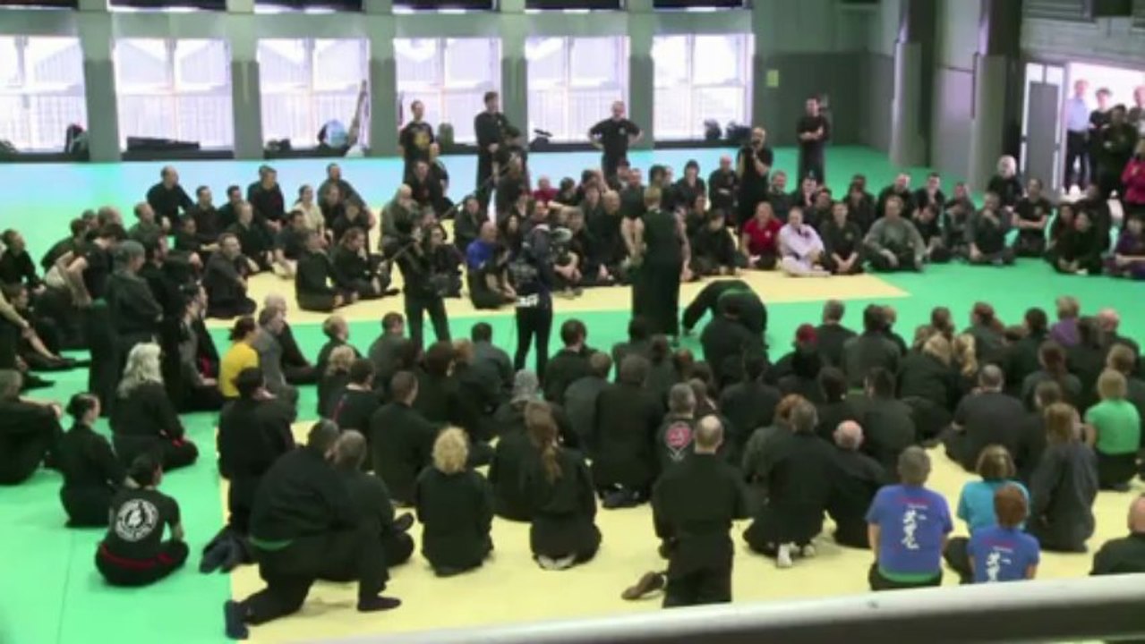 Mulheres ninjas