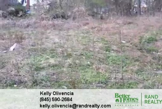 Homes for Sale - 117 Robinson Ave Newburgh NY 12550 - Kelly Olivencia