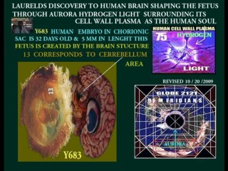 AFRICAN LION  SPHINX IN JERUSALEM'S DOME OF THE ROCK OCTAGON GENERATED NEW JERUSALEM CUBE 22