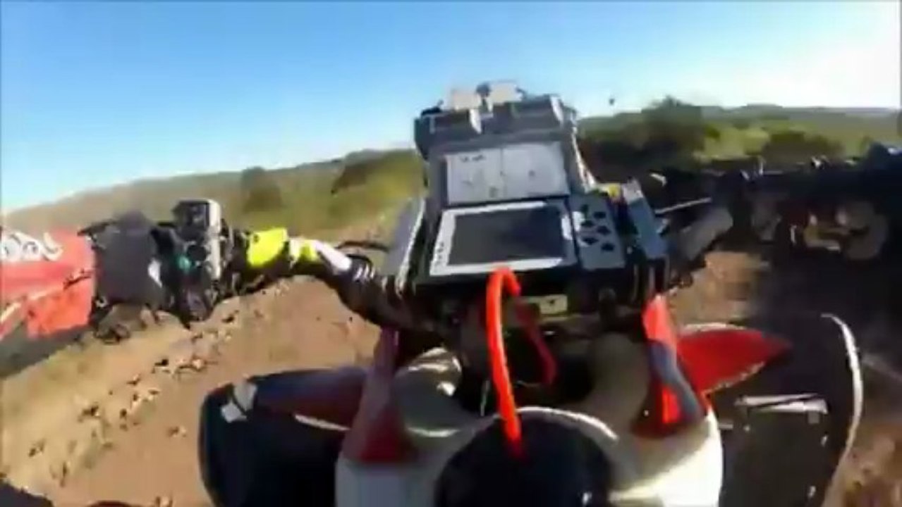 Quad vs vache