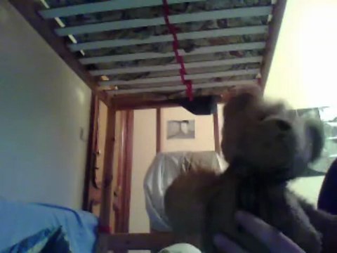 Je vous présente Nounours, mon doudou avec le grand méchant loup!!