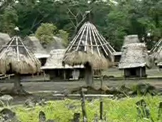 indonesie-flores-village-traditionnel