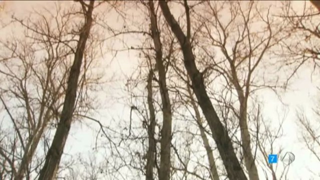 TRISTAN AURORA ROSARIO TIENE EL PRONTO DE LOS AÑOS ESDPV 22-03-2013