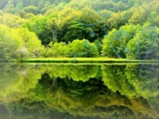 Gilbert Montagne The Fool Par Fernand