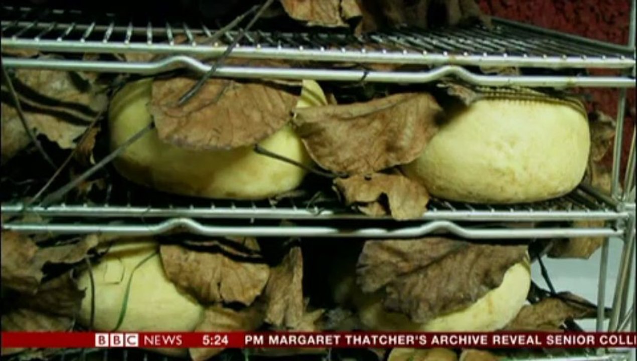 Say cheese: say pecorino!