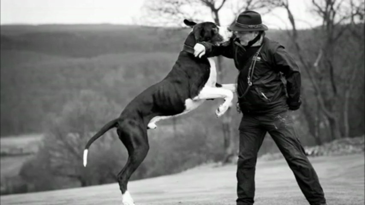 Graf gustav von schlesien