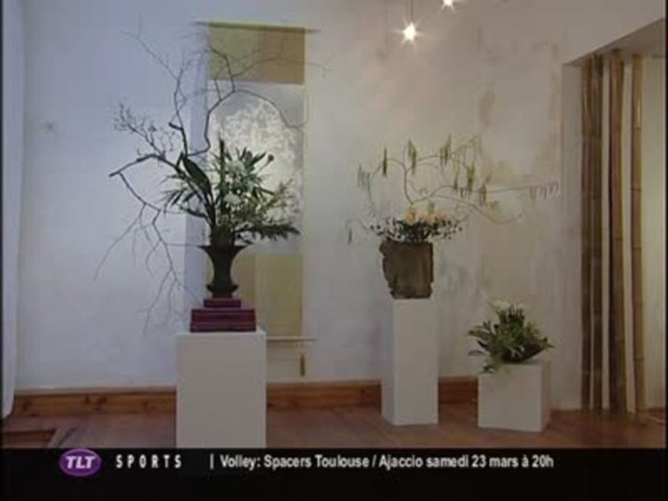 Art Floral : Exposition d'Ikebana à Toulouse