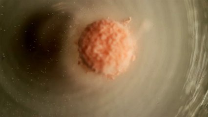 Pill in water 2 (Timelapse) - Free HD stock footage