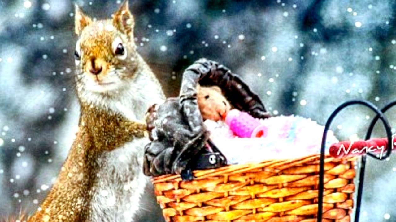 Artist Tricks Squirrel into Glamorous Modeling Career