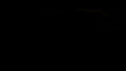 Diablo 3 (PS3) - diablo 3 premier gameplay