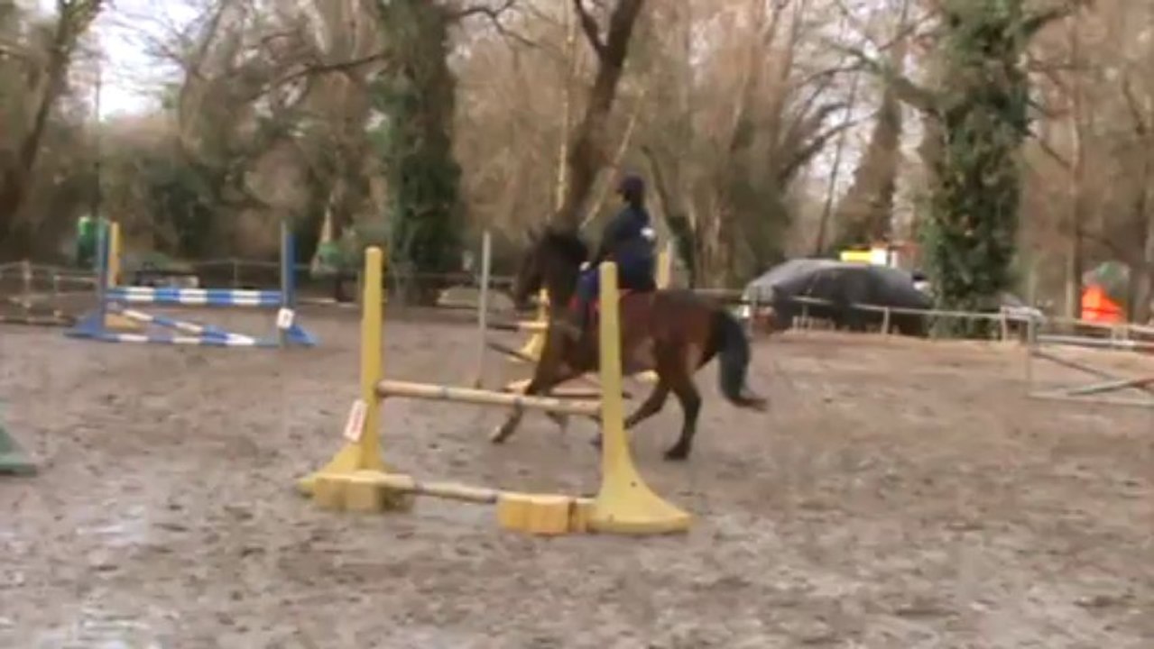 moi et jump a la fete du club de noel