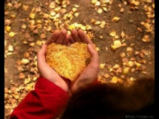 Cover by TaShiRa_Du kannst noch nicht mal richtig luegen