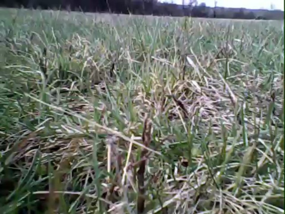 quadricoptere le 22.03.2013