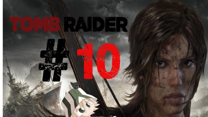 Tomb Raider [10] Retour à l'Endurance !
