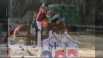 Bourg en Bresse - 20.03.2013 - Cycle Classique jeunes chevaux 6 ans (115) - Toupet d'Elle