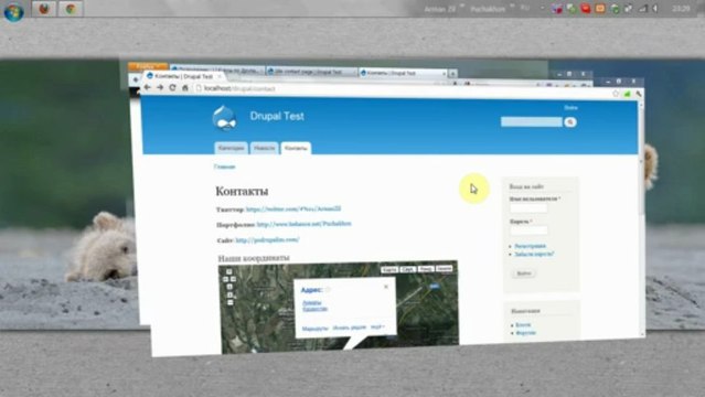 Page Manager- Правила выбора