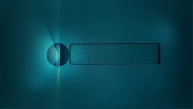 Une composition florale hivernale blanche comme neige