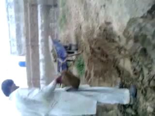 MOREO AND ZAFAR(BY ZAHEER IQBAL PALLI)