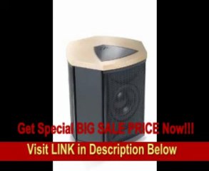 [BEST PRICE] MartinLogan Depth i High-Performance Triple 8-Inch Servo-Control Subwoofer (Single, Birds Eye Maple)