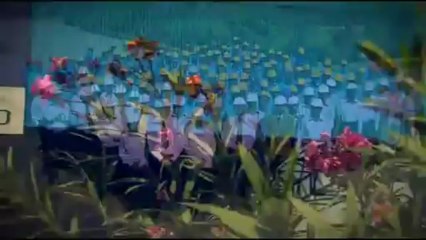 MITTAL CORP LIMITED - Company Overview (High) Video