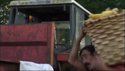 Graines de résistances - SEMI RESISTENTI