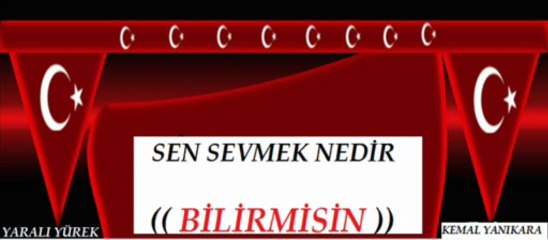 Güler Duman Ayrılığın Vahtımıydı