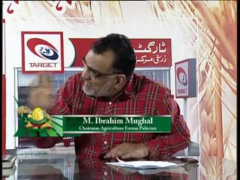 Zari Pandal with Saghir Ramay on Citrus Grower's Problems Part 02