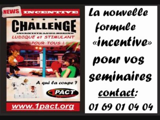 28-nouveaute-2013-incentive-entreprise