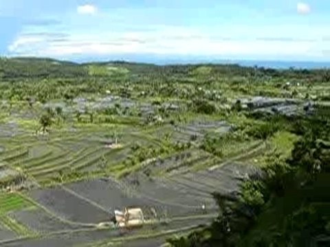 bali-rizieres-terrasses