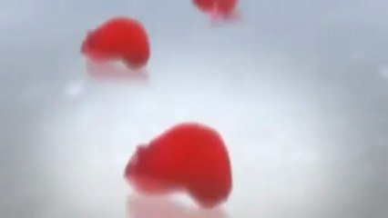 Good food tandoori indian restaurant, Watford