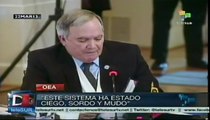 Venezuela cuestionó actuación de CIDH en sesión de la OEA