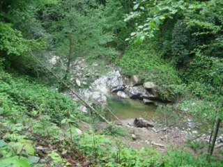 MUSTAFA TERECİ ÖLESİYE ÖLESİYE ÖZLEDİM