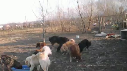 Ville Shelter 23.03.2013