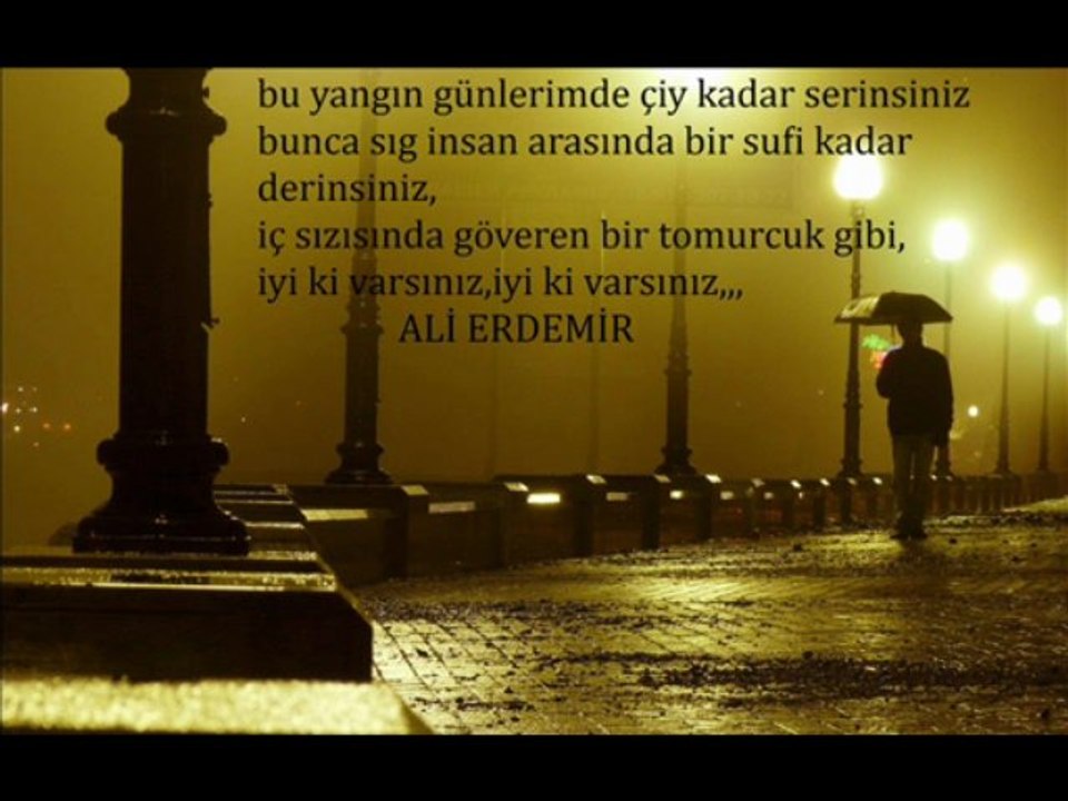 ali erdemir