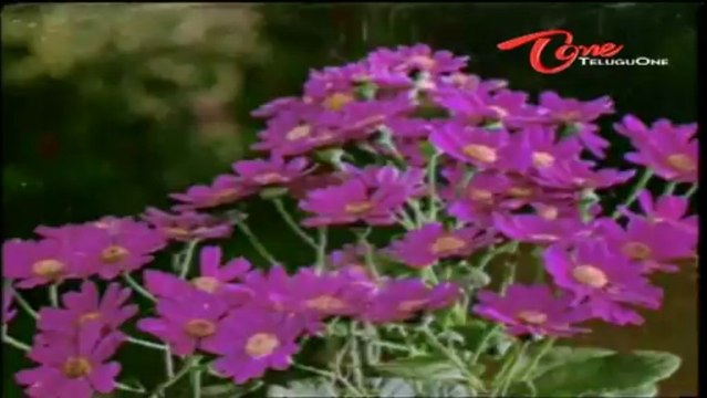 Vichitra Jeevitham Songs - Naakosam Anadam - ANR - Vanisree - Jayasudha