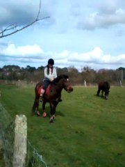 23 mars 2013 - Reinette des Bruyères