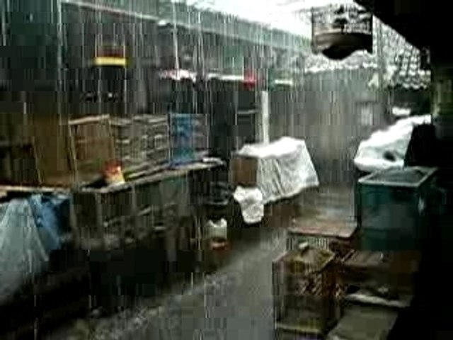 jogyakarta-marche-pluie