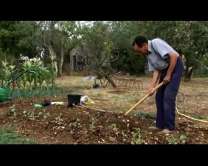 Pierre Rabhi au nom de la terre - "Teaser"