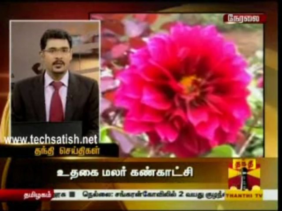 Thanthi Seithigal
