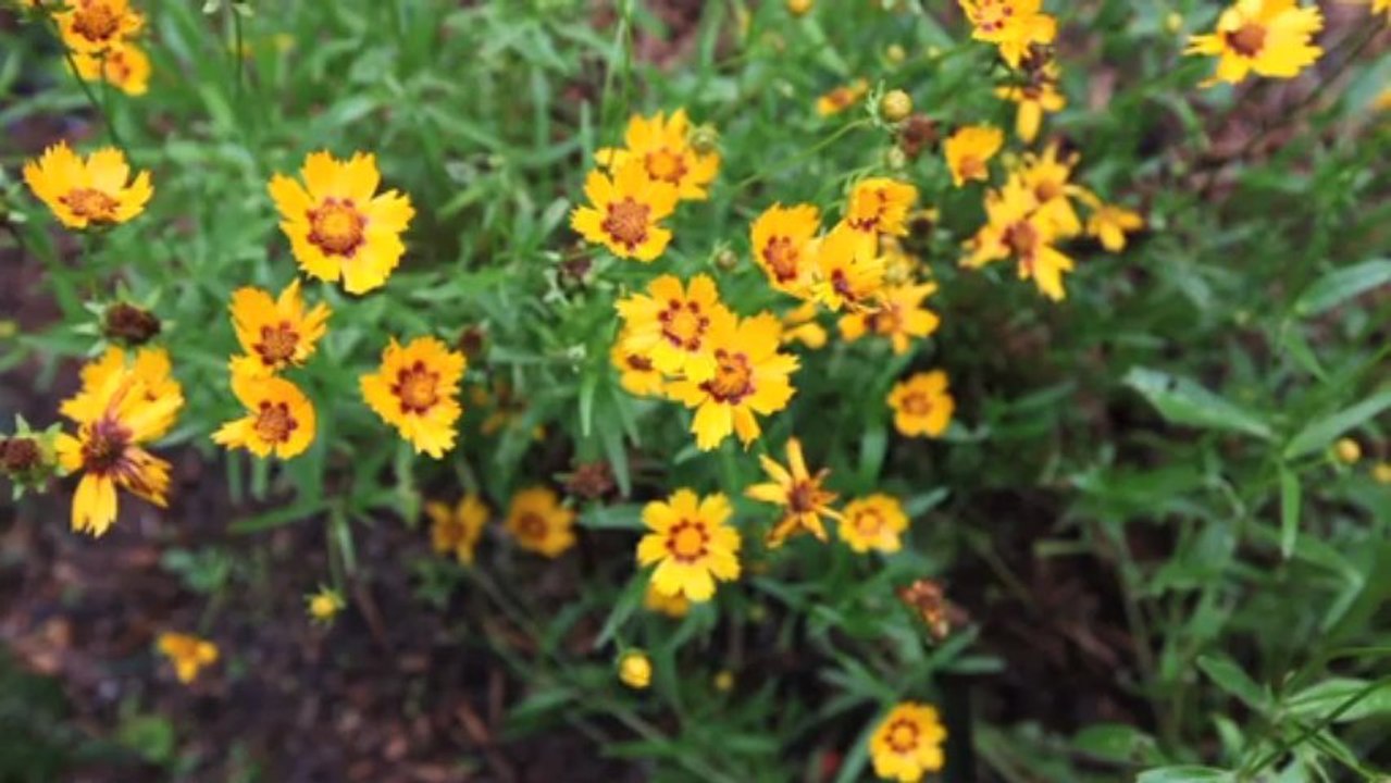 Hocking Hills Lodge Rental OH, Tour of Painted Horse Lodge