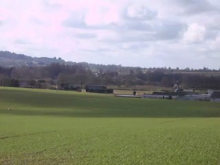 Vénerie du lièvre D : L'attaque