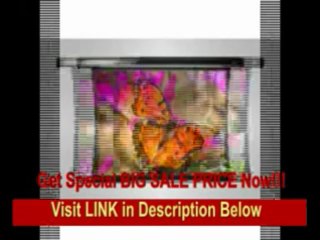 [BEST BUY] Elite Screens TE139XW2 CineTension2 Electric Projection Screen (139 16:10 AR)(CineWhite)