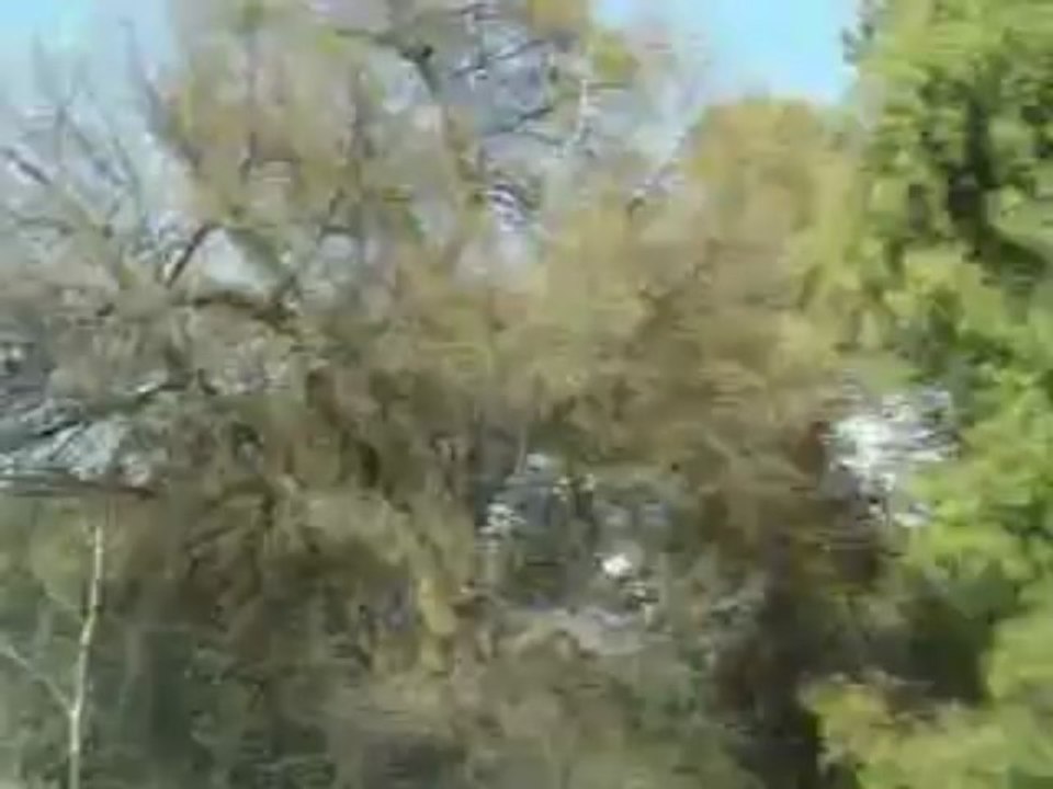 Y ME LA ABENTE DESDE GUERRERO NEGRO HASTA VERACRUZ!!!
