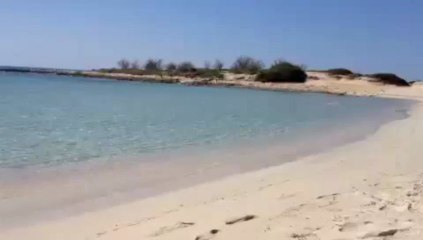 Leccenews24: Le dune di Porto Cesareo