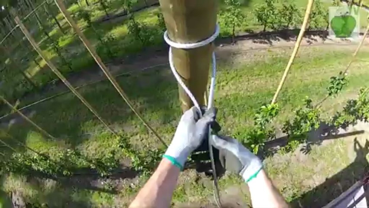 telli terbiye sistemi-file çekilmesi