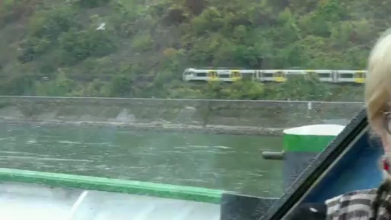 Trains au fil du Rhin HD 1080