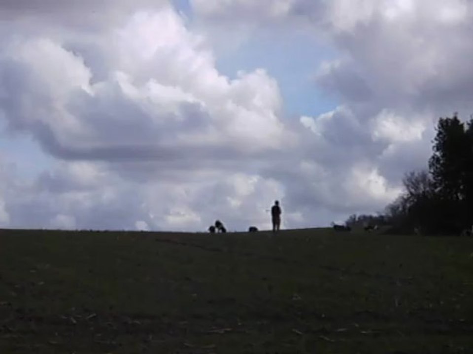 Vénerie du lièvre J : La poursuite du travail du défaut