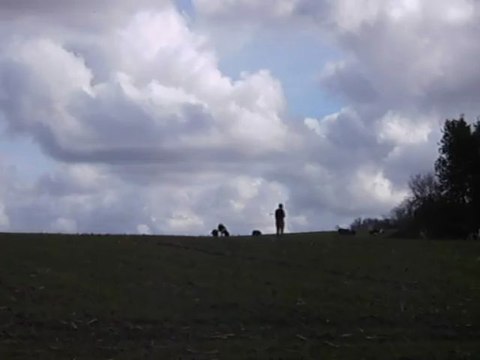 Vénerie du lièvre J : La poursuite du travail du défaut